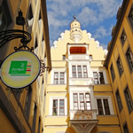 Das Haus zur goldenen Schlange